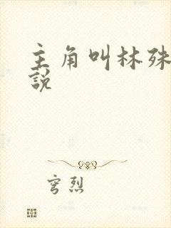 主角叫林殊的小说