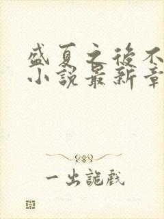 盛夏之后不再见小说最新章节