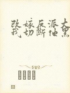 改嫁反派大佬,我切断他黑化根源