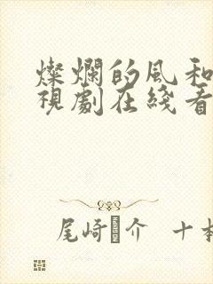 灿烂的风和海电视剧在线看