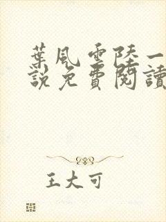 叶风云陆一曼小说免费阅读全文