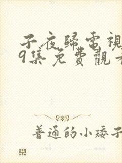 子夜归电视剧29集免费观看全集高清