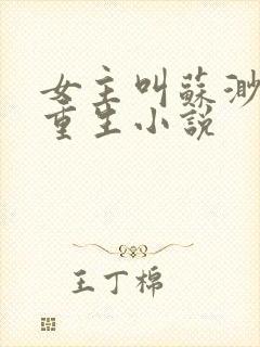 女主叫苏渺渺的重生小说