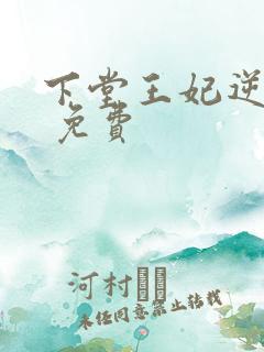 下堂王妃逆袭记 免费