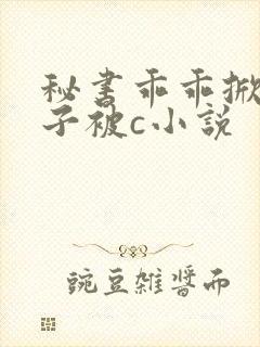 秘书乖乖掀起裙子被c小说