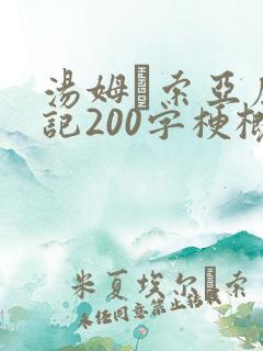 汤姆·索亚历险记200字梗概