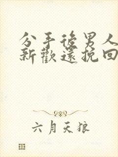 分手后男人有了新欢还挽回吗