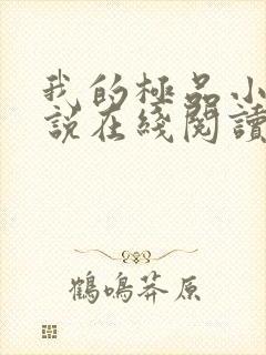 我的极品小姨小说在线阅读全文