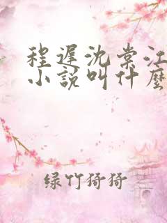 程迟沈棠江言辰小说叫什么名字