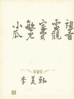 小敏家电视剧西瓜免费观看