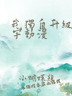 我独自升级程肖宇动漫