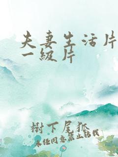 夫妻生活片黄色一级片