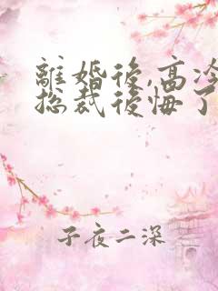 离婚后,高冷女总裁后悔了txt