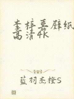 李梓嘉壁纸全屏高清4k