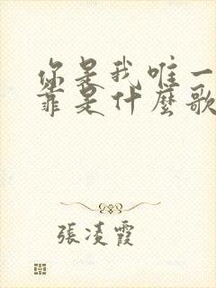 你是我唯一的依靠是什么歌