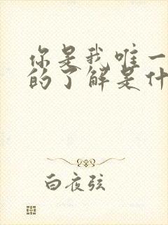 你是我唯一想要的了解是什么歌