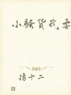 小骚货我要插你