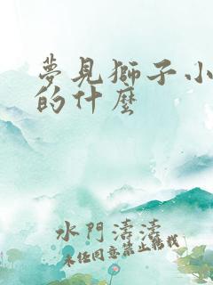 梦见狮子小说讲的什么