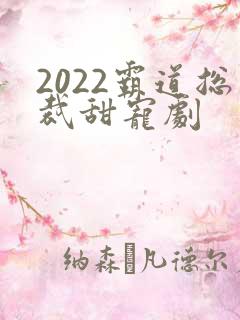 2022霸道总裁甜宠剧