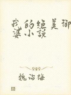 我的绝美御姐老婆小说
