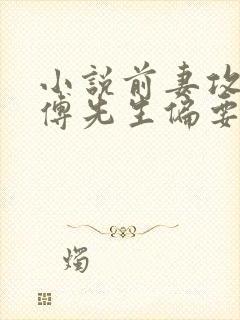 小说前妻攻略:傅先生偏要宠我txt下载