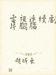 电视连续剧谍战片胭脂