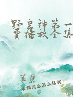 野良神第一季免费播放全集