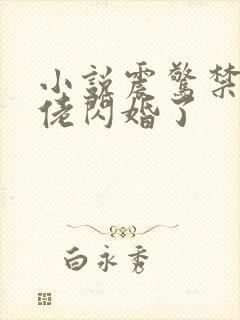 小说震惊禁欲大佬闪婚了