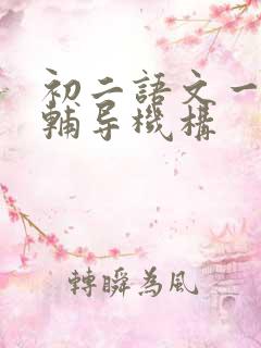 初二语文一对一辅导机构