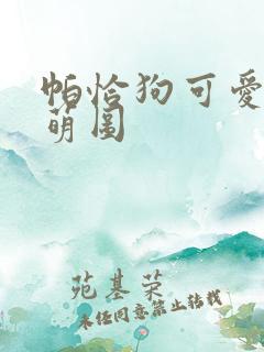 帕恰狗可爱q版萌图