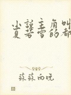 小说主角叫叶辰夏若雪的都市小说