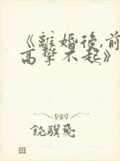 《离婚后,前妻高攀不起》