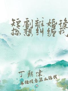 短剧离婚后前夫总想纠缠我