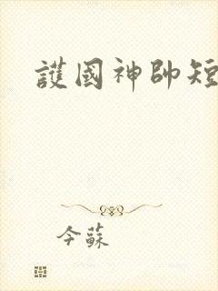 护国神帅短剧版