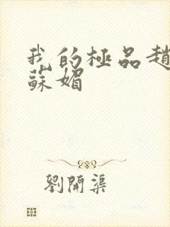 我的极品赵春城苏媚