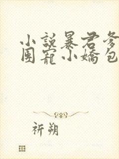 小说暴君爹爹的团宠小娇包全文