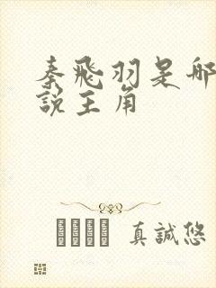 秦飞羽是哪部小说主角