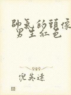 帅气的头像动漫 男生红色