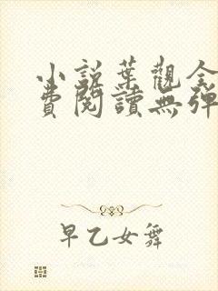 小说叶观全文免费阅读无弹窗