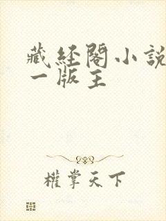 藏经阁小说网第一版主