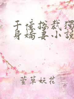 千亿总裁独宠替身娇妻小说版