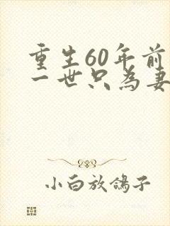 重生60年前这一世只为妻儿免费观看