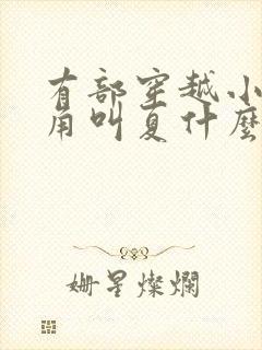 有部穿越小说主角叫夏什么