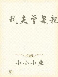 我夫曾是龙傲天