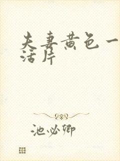 夫妻黄色一级生活片