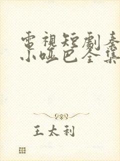 电视短剧秦爷的小哑巴全集