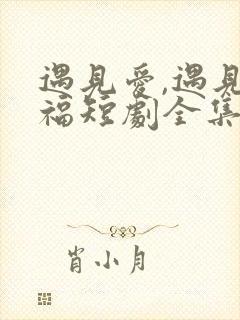 遇见爱,遇见幸福短剧全集在线观看