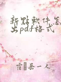 新点软件怎么导出pdf格式