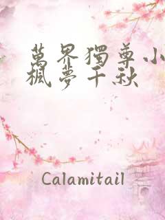 万界独尊小说林枫梦千秋