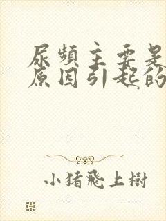 尿频主要是什么原因引起的